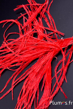 Autruche barbules - 8-15 cm - rouge